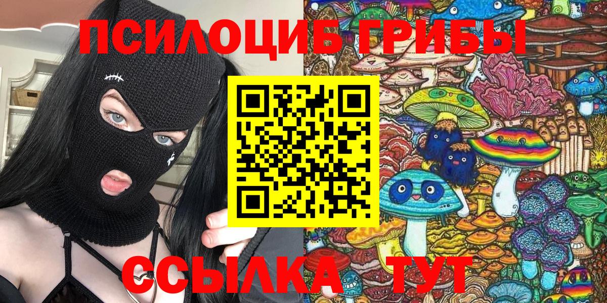 Галлюциногенные грибы Psilocybine cubensis Братск