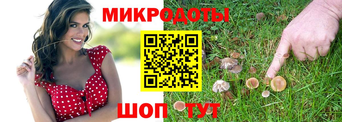 как найти наркотики  Псилоцибиновые грибы Magic Shrooms  Вход с VPN  Галлюциногенные грибы Magic Shrooms  Братск 